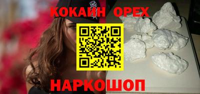 крисы Кингисепп