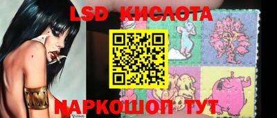 крисы Кингисепп