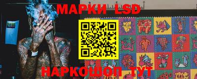 крисы Кингисепп