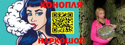 крисы Кингисепп
