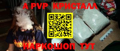 крисы Кингисепп