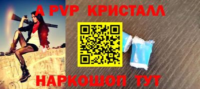 крисы Кингисепп