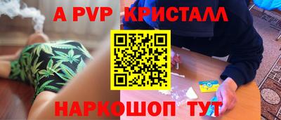 крисы Кингисепп