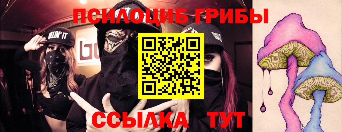 Галлюциногенные грибы Psilocybe Красногорск