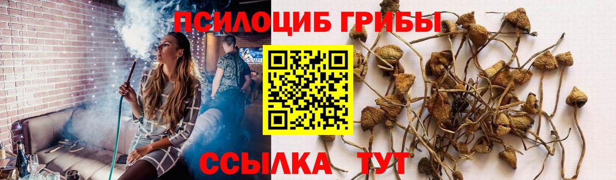 Галлюциногенные грибы мицелий  Вход с VPN  Красногорск 