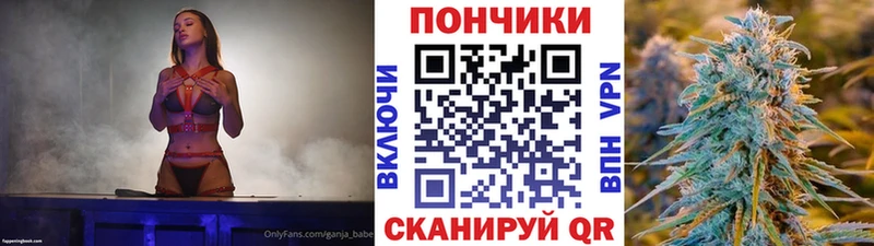 Шишки марихуана гибрид  как найти наркотики  Красногорск 